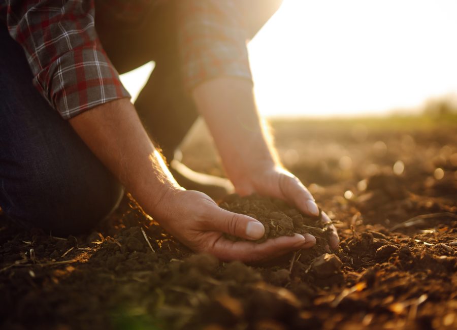 Male,Hands,Touching,Soil,On,The,Field.,Expert,Hand,Of