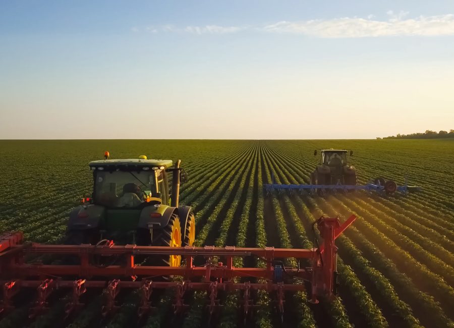 tractor in a soybean field. Cultivation of soybean rows in the field.