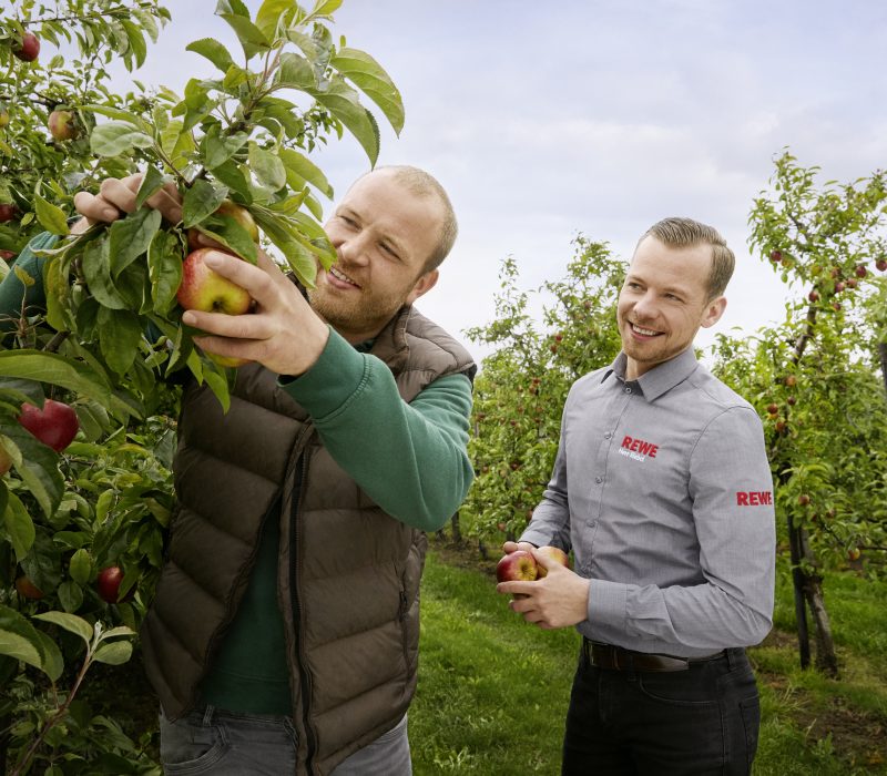 Mitarbeiter und Landwirt pflücken einen Apfel - Lokale Partnerschaft