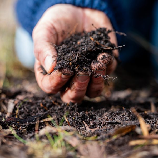 Turning,A,Compost,Pile,In,A,Community,Garden.,Compost,Full