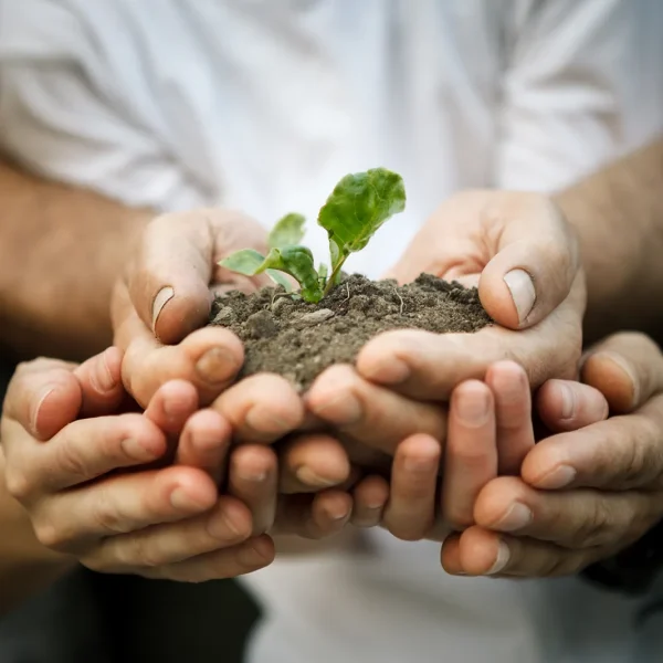 Förderprogramm Klimaschutz