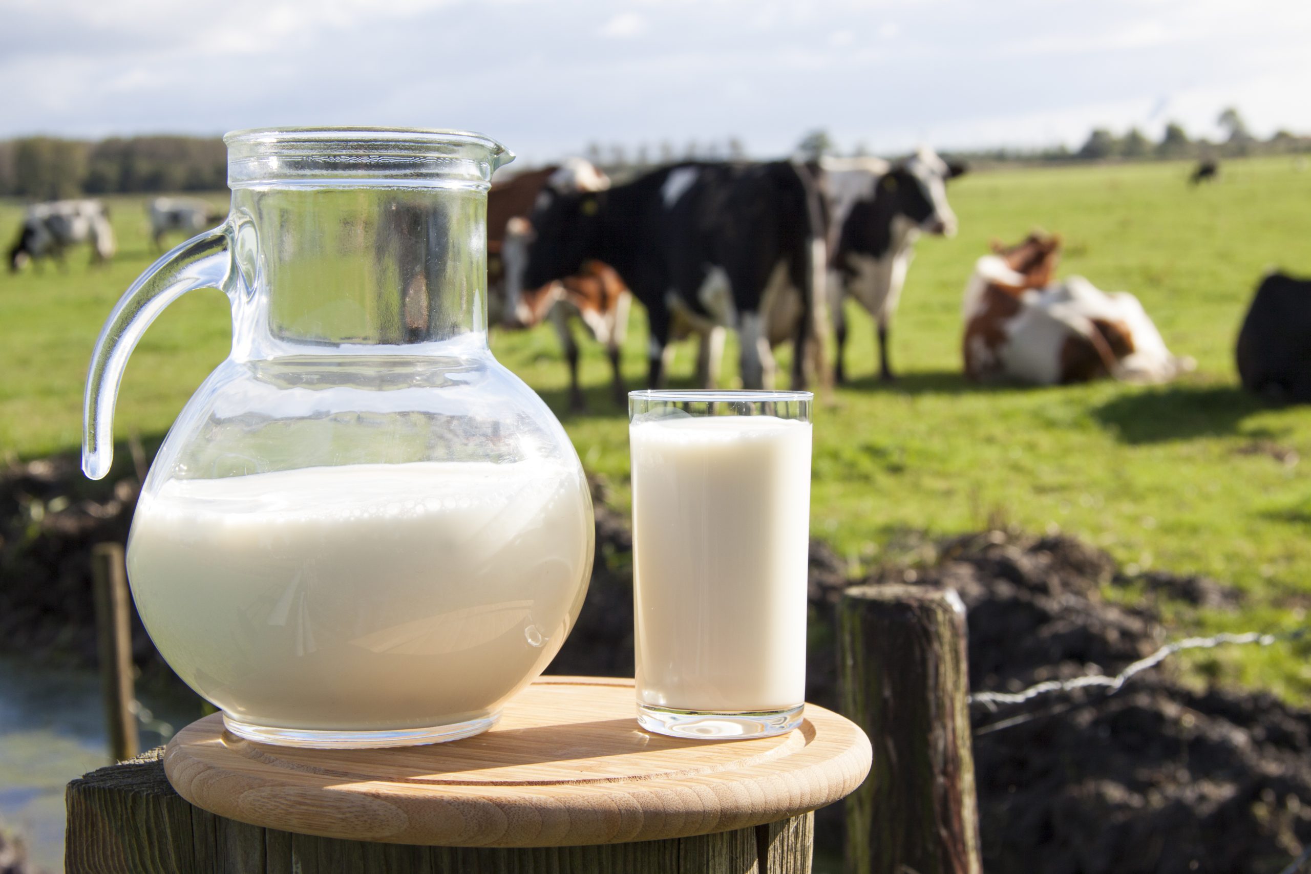launch-die-faire-milch-kompetenzzentrum-landwirtschaft