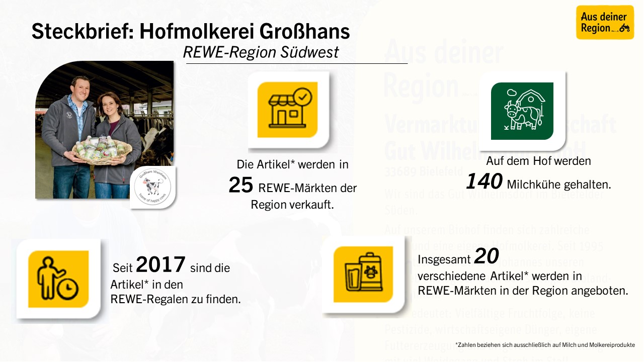 Infografik mit dem Titel „Steckbrief: Hofmolkerei Großhans – REWE-Region Südwest“ mit Verkaufs- und Produktionsdaten. Wichtige Highlights: Produkte in 25 Filialen, 140 Kühe, erhältlich seit 2017, und 20 Produktvarianten. Enthält Symbole für Bauernhof, Fabrik und Milch.