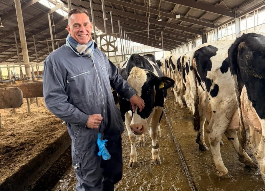 Ein lächelnder Mann in grauem Overall und schwarzen Stiefeln steht in einem Stall, hält mit einer Hand einen blauen Handschuh und berührt mit der anderen sanft eine schwarz-weiße Kuh. Automatisch gespeicherter Entwurf erscheint, während mehrere Kühe in einer Reihe hinter ihm stehen.