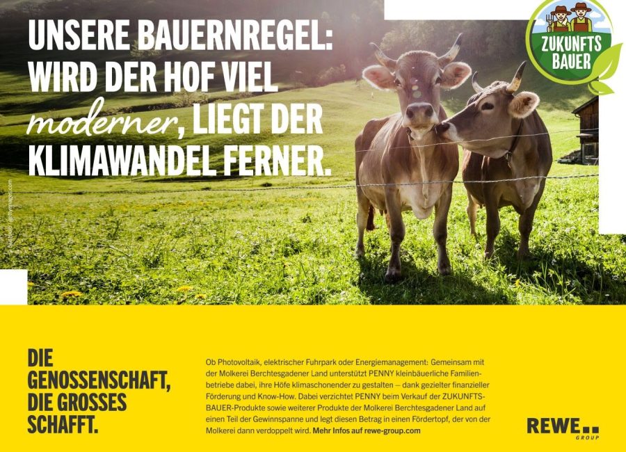 Zwei braune Kühe stehen auf grünem Gras auf einer sonnenbeschienenen Weide mit Bergen im Hintergrund. Der deutsche Text hebt die nachhaltige, moderne Landwirtschaft und den Klimawandel hervor und stellt die Unterstützung der REWE Group für die genossenschaftliche Landwirtschaft und Initiativen wie Zukunftsbauer vor.